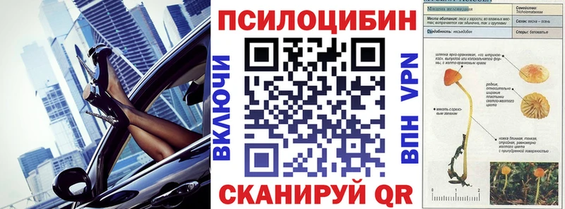 Купить где  Змеиногорск  Псилоцибиновые грибы прущие грибы 