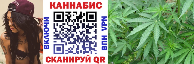 Бошки Шишки OG Kush  Купить закладки  Змеиногорск 